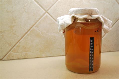 A Guide To Kombucha Fermentation And Microbiology Joyful Microbe