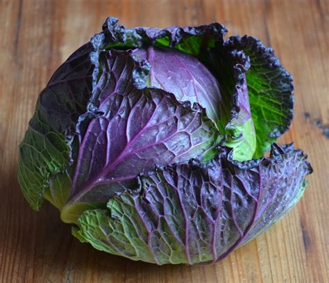 Cabbage January King Organic Heirloom Seeds 2018