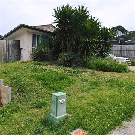 Luke's Lawns Plus (@lukeslawnsplus) • Instagram photos and videos
