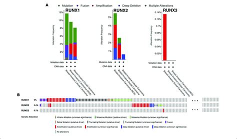 Runt Related Transcription Factor Alternation Analysis In Breast