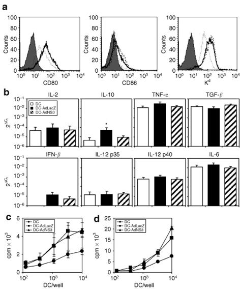 Phenotypic And Functional Characterization Of Dendritic Cell DC