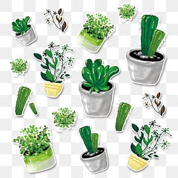 Small Fresh Hd Transparent Vector Small Fresh Plant Stickers Plant