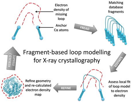 Fragment Based Loop Modelling Pipeline For X Ray Crystallography