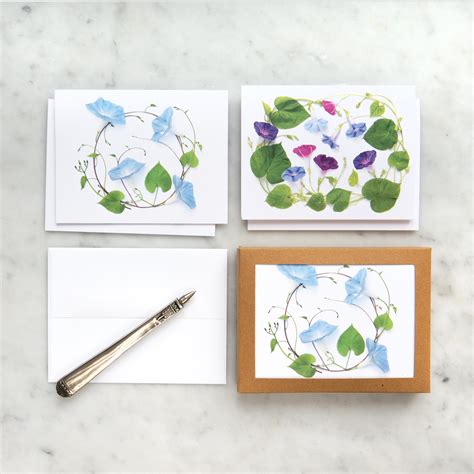 Card Set Morning Glory Bottlebranch