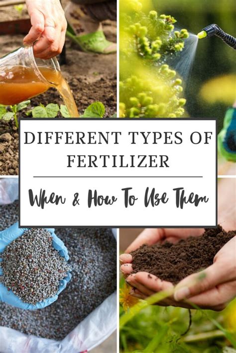 types  fertilizer