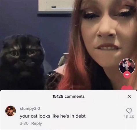Poor Pussy Cat R Rareinsults