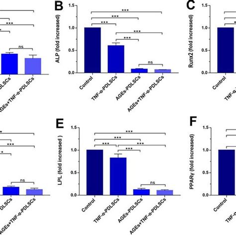 MRNA Levels Of OCN A ALP B RunX2 C Col II D LPL E And