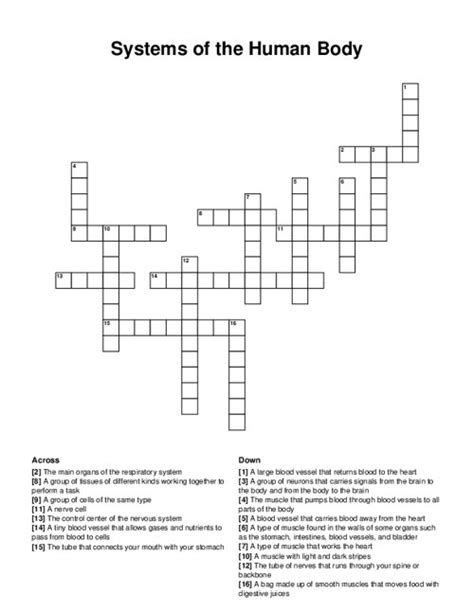 Systems Of The Human Body Crossword Puzzle