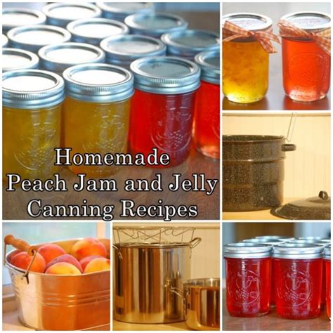 Homemade Peach Jam And Jelly Canning Recipes The Homestead Survival