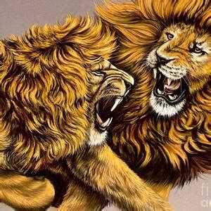 Lions Roar Drawing By Art By Three Sarah Rebekah Rachel White Fine