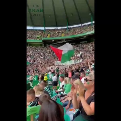 Scotland's Celtic fans wave flags of Palestine : r/Palestine