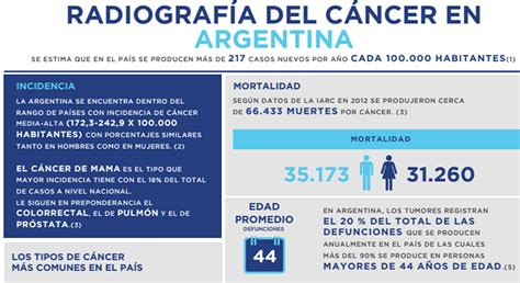 Cómo Es El Mapa De Investigación Del Cáncer En Argentina Infobae