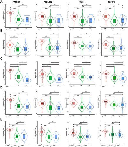 Full Article Identification Of A Four Gene Signature For Determining