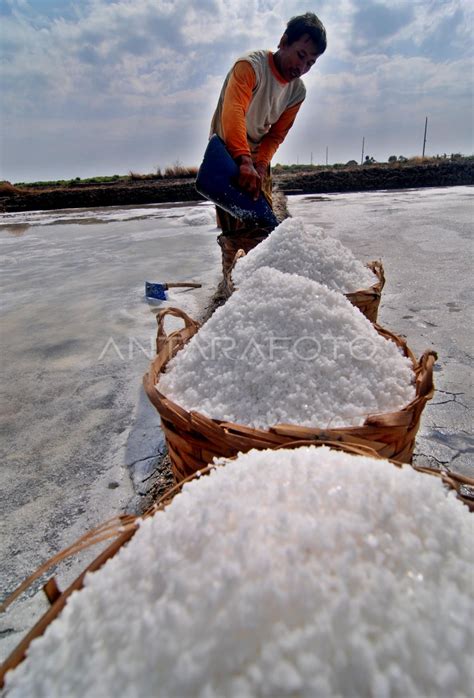 PRODUKSI GARAM NASIONAL ANTARA Foto