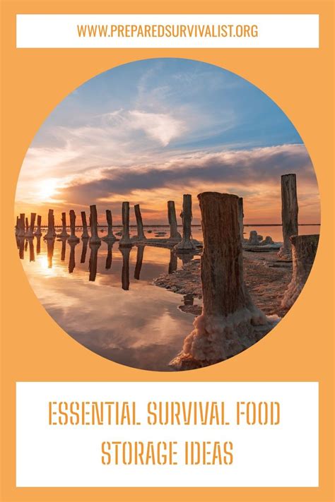 9 Apocalypse Survival Foods That Last a Long Time | Survival food ...