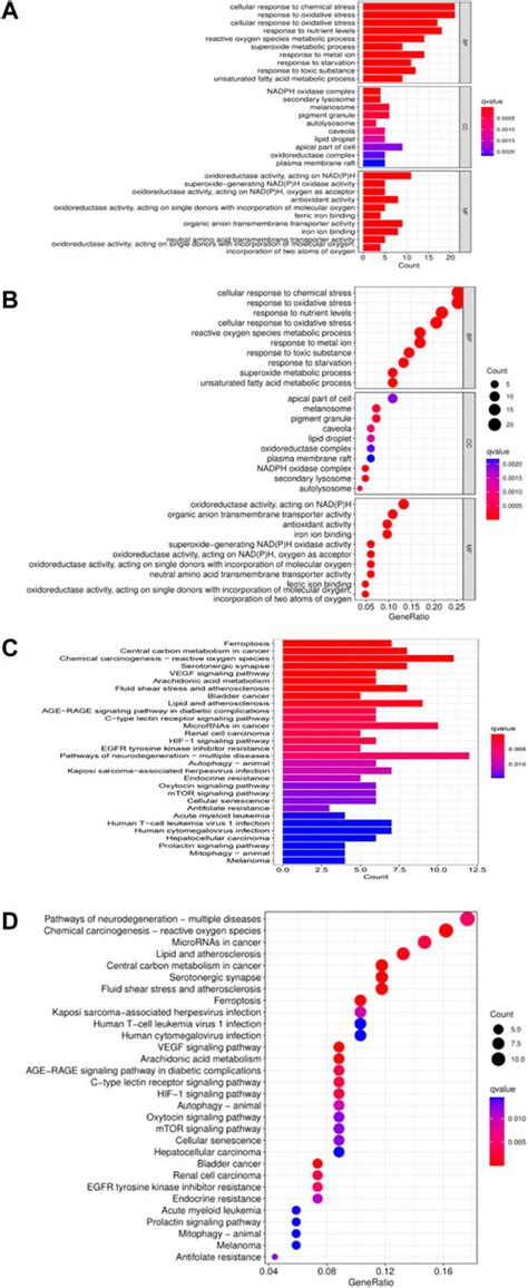 Frontiers Construction Of A Prognostic Model For Hcc Based On