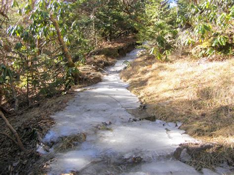 Mount Mitchell Trail Hike