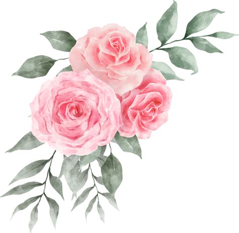 Rosa Ros Blombukett Arrangemang Akvarell Png