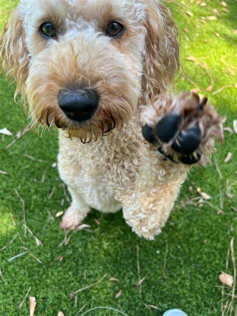 Those Are Amateur Numbers My Mom Has More Than A Of Me From Just One Month Let Me Know If