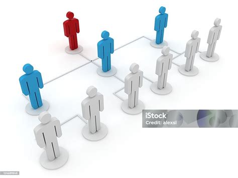 organisasi foto stok  gambar  bagan organisasi grafis