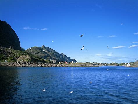 Живой поток: ЛОФОТЕНСКИЕ ОСТРОВА (Lofoten)