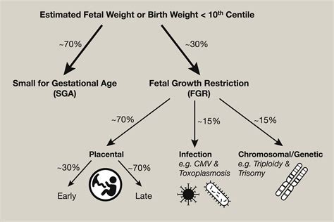 Investigation And Management Of The Small For Gestational Age Fetus