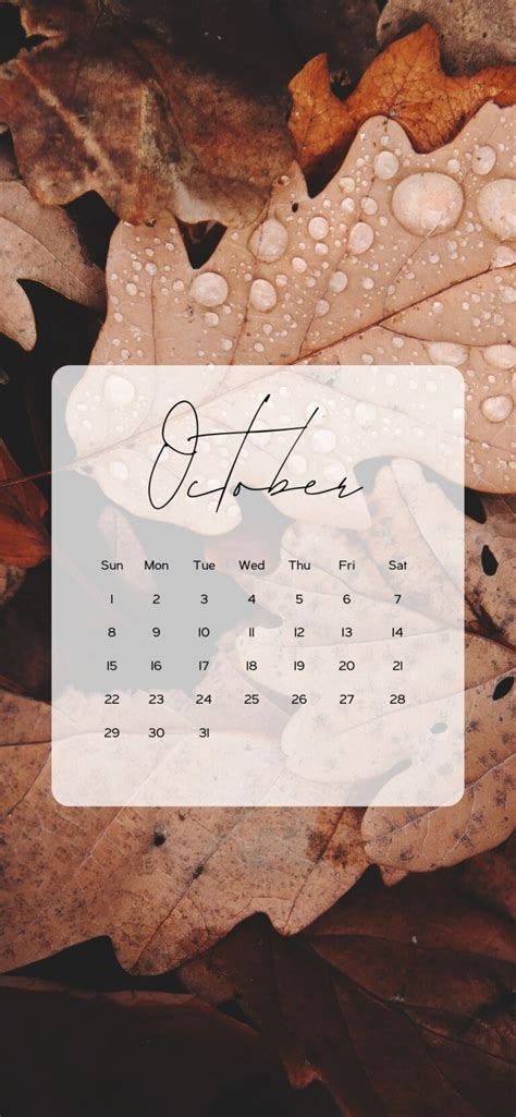 October Calendar Wallpaper Aesthetic Backgrounds 2024 Anjahome