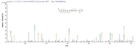 Recombinant Mouse A disintegrin and metalloproteinase with ...
