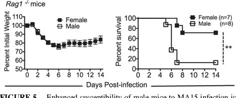 Figure From Sex Based Differences In Susceptibility To Severe Acute Respiratory Syndrome