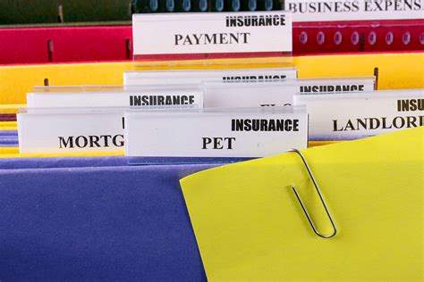 The Top 5 Things You Should Know About Cat Insurance The Cat Loop