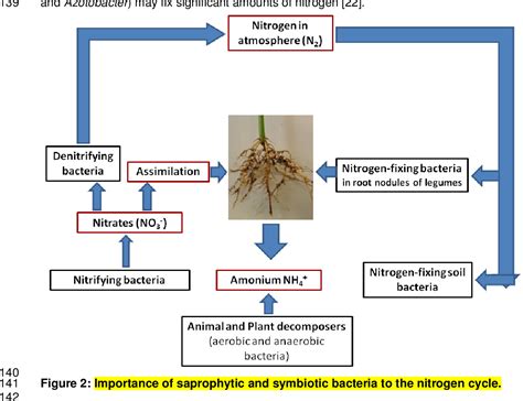 Figure 1 from Saprophytic , Symbiotic and Parasitic Bacteria : 2 ...