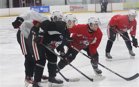 Icedogs Ready To Get To Work Bp Sports Niagara