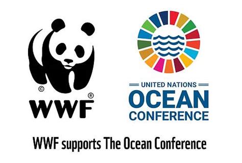 Un Ocean Conference 2022 Wwf