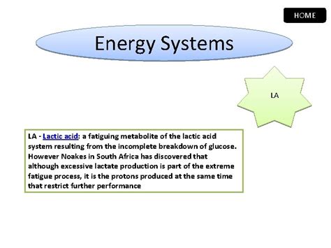 Kinesiology Energy Systems Anatomy Biomechanics On Your Mark