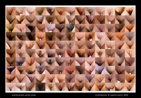 Naked Female Body Shapes Vagina