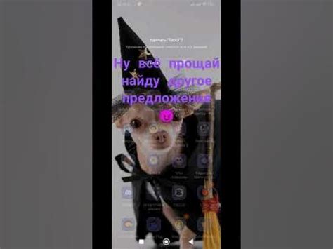 где мой чупакай - YouTube