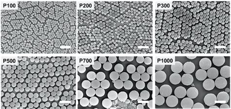 Biobased Nanomaterialsthe Role Of Interfacial Interactions For