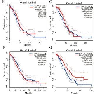 The Expression Of CXC Chemokine MRNA In OC Patients The Picture Shows