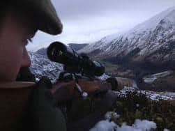 Deer Hunting in Scotland