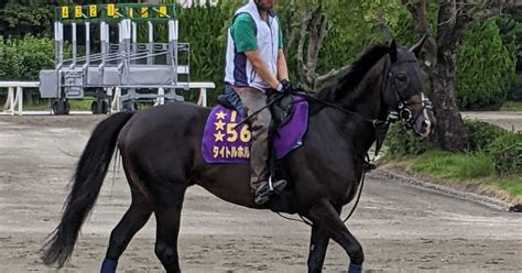 【凱旋門賞】タイトルホルダーが馬場入り 栗田師「元気いっぱいです」 サンスポzbat