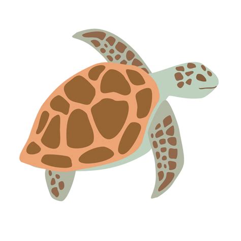 Sea turtle PNG file 23286027 PNG