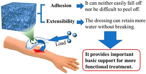 Advances in Functional Hydrogel Wound Dressings: A Review