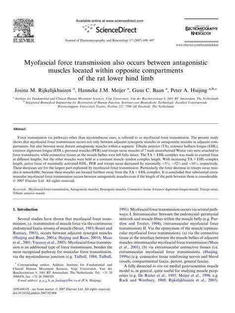 Pdf Myofascial Force Transmission Also Occurs Between Antagonistic