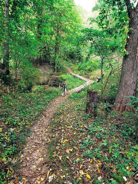 10 Iowa State Parks with Cabins that are Perfect for Families - The