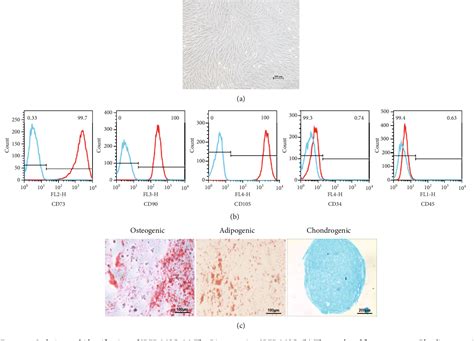 Figure 1 From Exosomes From Kartogenin Pretreated Infrapatellar Fat Pad