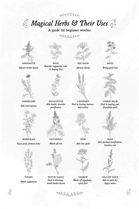 Magical Herbology - Poster Design :: Behance