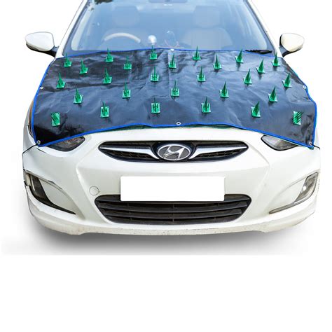 car roof  bonnet protector cover  dog