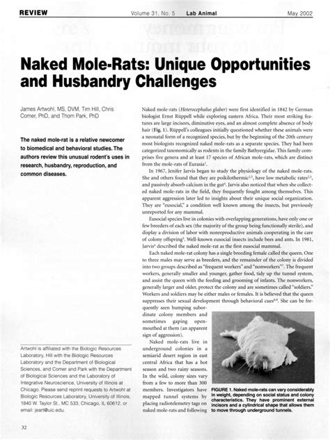 Pdf Naked Mole Rats Unique Opportunities And Husbandry Challenges