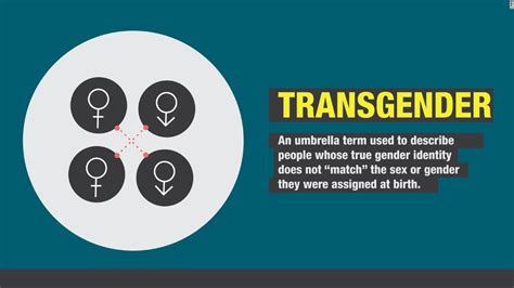 Pansexual Definition Cultural Context And More