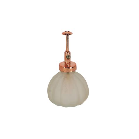 Desert Dream Plant Mister Ass Esschert Design Poland ACM Agrocentrum